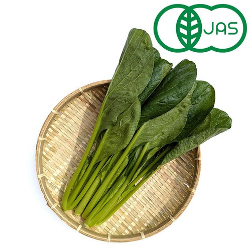【有機】千葉県産 こまつな 200g
