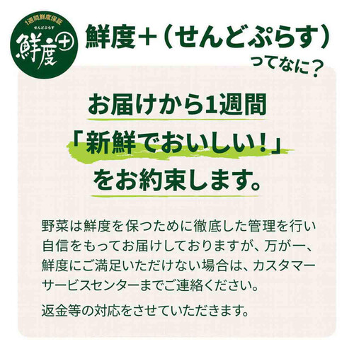 ［鮮度+］新潟県産 まるごとえのき 150g 1袋