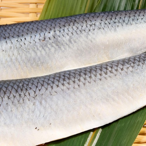 【冷凍】 骨取り熟成 塩にしんフィレ 2枚(180g)