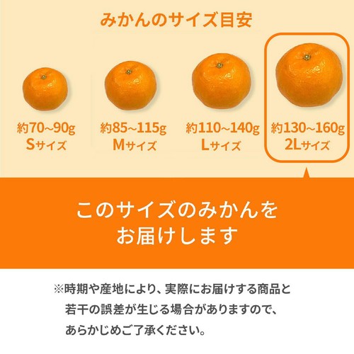 和歌山県産 ギュッと濃厚 吉田農園の有田三代みかん(丹生系) 2Lサイズ