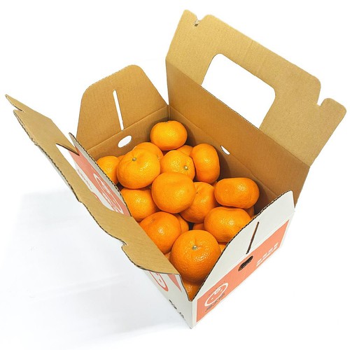 静岡県産 寿太郎みかん Lサイズ 2.5kg 箱 Green Beans | グリーン