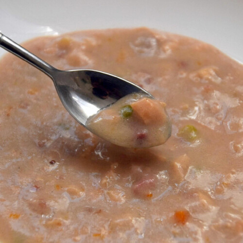 ドギーマン ハヤシ わんちゃんの国産牛乳スープごはん 13歳からのシニア用 ビーフと緑黄色野菜入り 80g