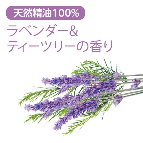 サラヤ ハッピーエレファント 液体洗濯用洗剤 コンパクト 600ml