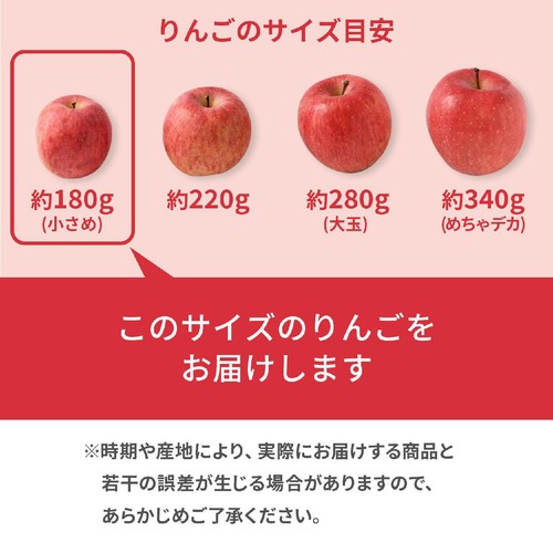 青森県産 ふじりんご 小さめ 4個 700g