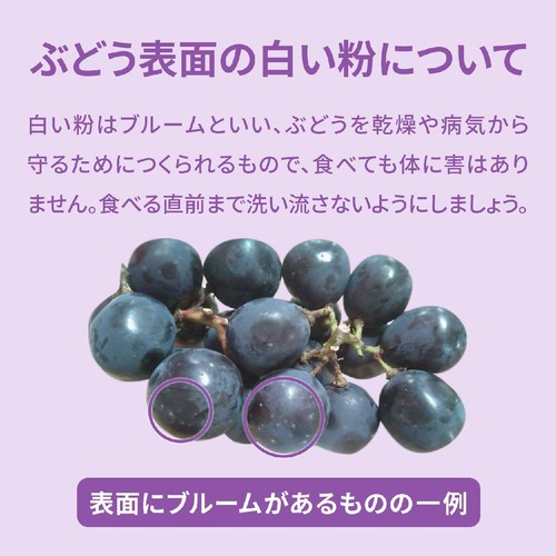 ［食べごろ+］山梨県笛吹市産 小倉さんたちのぶどう(デラウェア) 300g