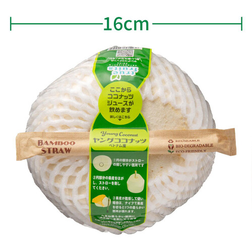 【冷蔵】ベトナム産 ヤングココナッツ 700g