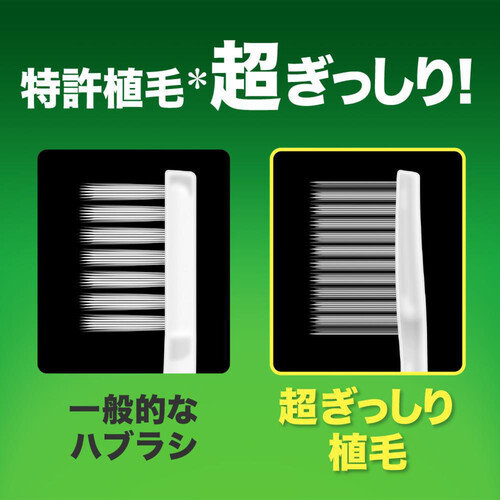 花王 ディープクリーンハブラシ コンパクトヘッド ふつう 1本