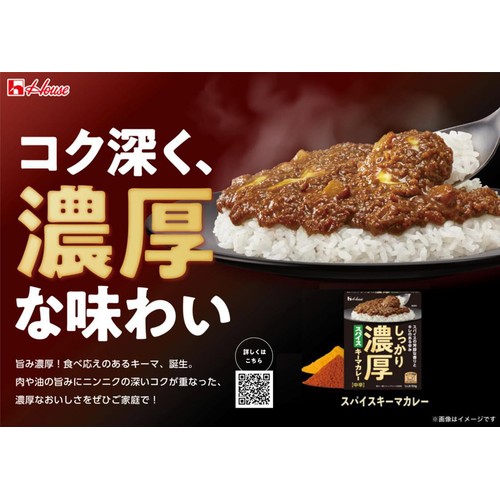 ハウス食品 しっかり濃厚スパイスキーマカレー 中辛 1人分 150g