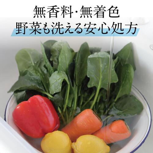 サラヤ 野菜・食器用 ヤシノミ洗剤 500ml