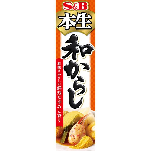 エスビー食品 本生和からし 43g