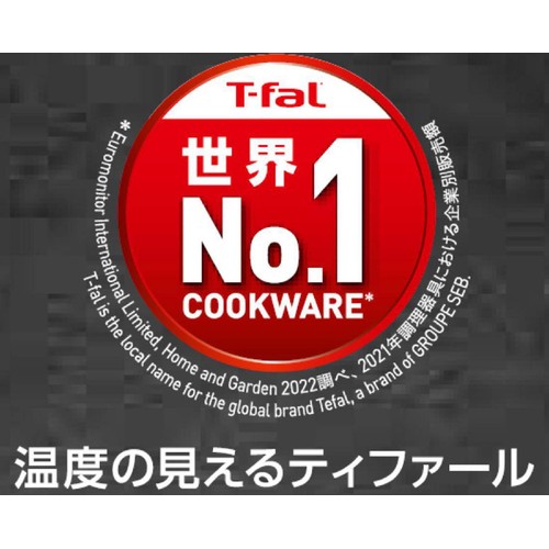ティファール IHチタン・エクセレンスモカ フライパン 24cm G17204