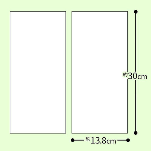 レック 激落ちダブルキング 2個入り