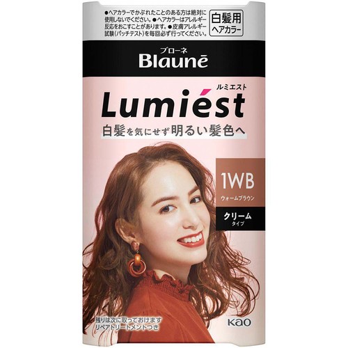 花王 ブローネ ルミエスト ヘアカラー 1WB ウォームブラウン 100g + 8g