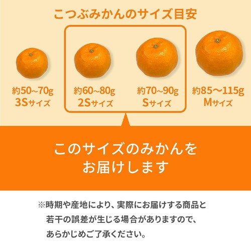 静岡県産 三ヶ日こつぶみかん 520g 8-10個 S-2Sサイズ 1パック Green