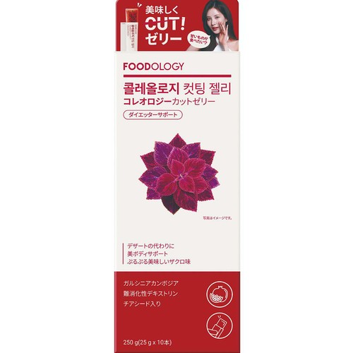 韓国高麗人参社 FOODOLOGY コレオロジー カットゼリー 10本入 Green
