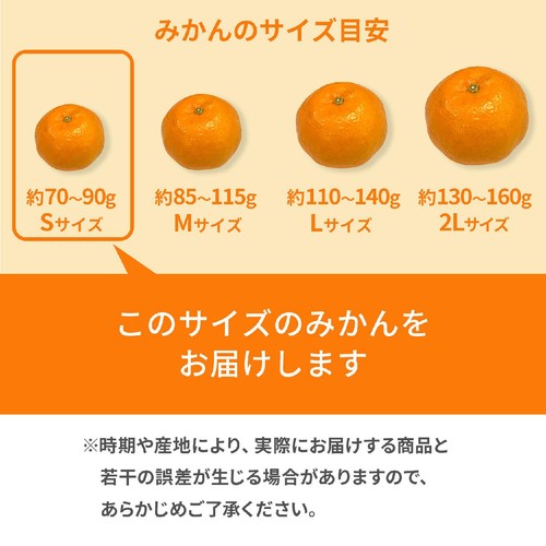 熊本県産 味咲の早出しみかん 8-10個 550g  S-2Sサイズ 1パック