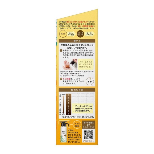 花王 ブローネ ナチュリラ 色長持ちカラートリートメント ダークブラウン 本体 155g