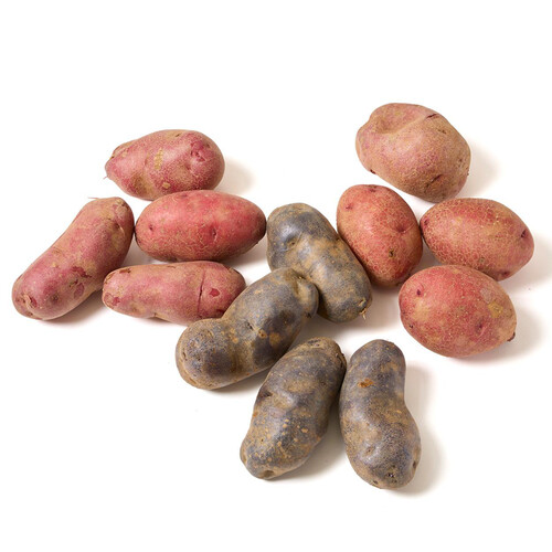 北海道産森浦農場 カラフルじゃがいも 350g x 3品種 Green Beans