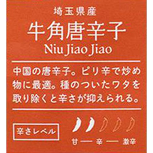 埼玉県産 十色 とうがらし (牛角唐辛子) 100g 1袋