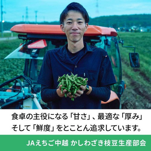 新潟県産 越後はちこく茶豆 250g 1袋