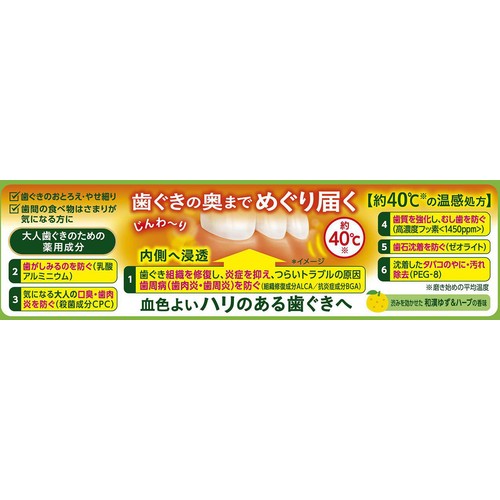 花王 ディープクリーン 薬用温感ハミガキ 85g