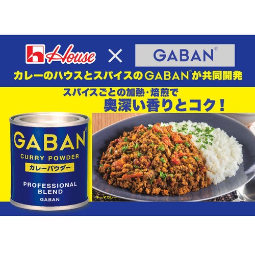 GABAN カレーパウダー缶 35g