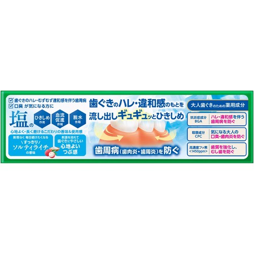 花王 ディープクリーン ひきしめ塩配合ハミガキ ソルティライチの香味 95g