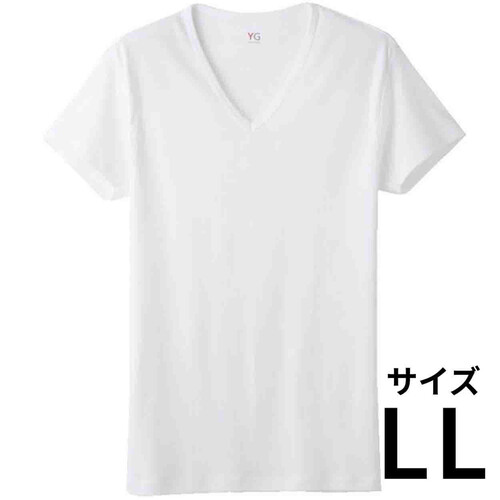 グンゼ YG 紳士 ピュアコットンVネックTシャツ LL ホワイト