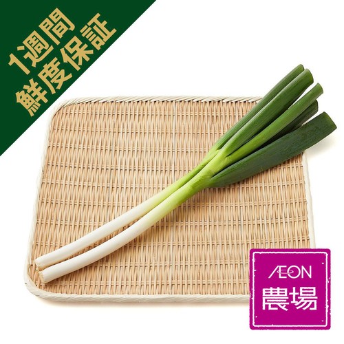［鮮度+］栃木県産 長ねぎ 2本 1袋