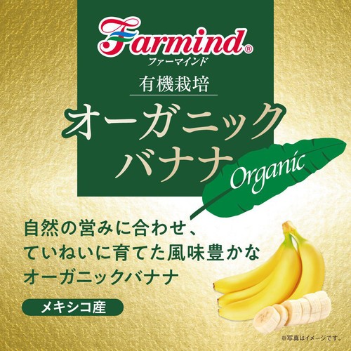 【有機】メキシコ産ファーマインド オーガニックバナナ 6-10本 1.3kg