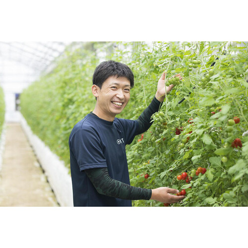 千葉県千葉市 OSMIC FIRST PRINCESS 120g 1パック Green Beans