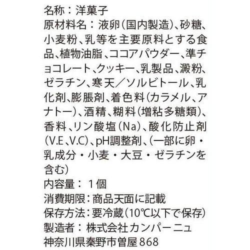 カンパーニュ 切り落としケーキ チョコ 1個