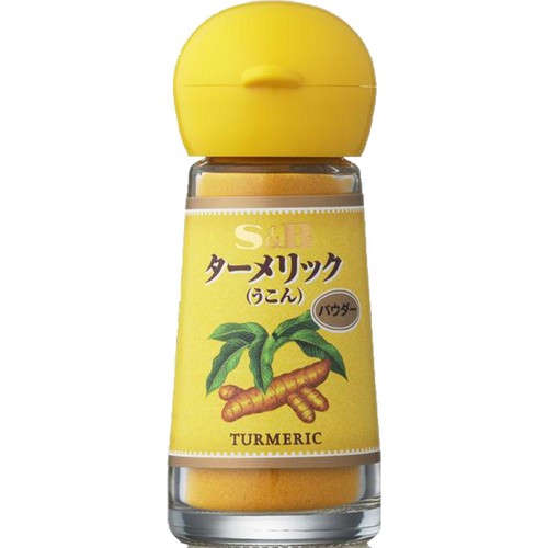 エスビー食品 ターメリック パウダー 14g