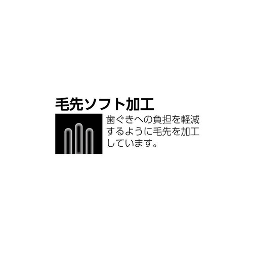 エビス プレミアムケア ポイントブラシ 1本