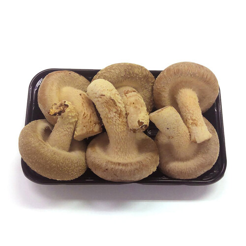 国内産 生しいたけ(菌床栽培) 100g 1パック Green Beans | グリーン