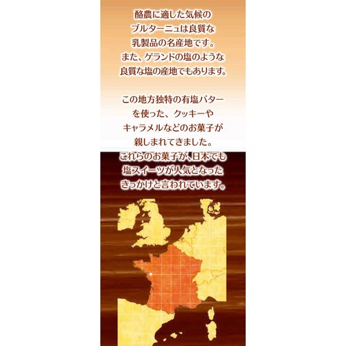 東ハト ソルティショコラ 8枚