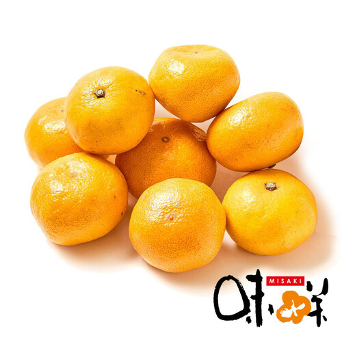 熊本県産 味咲のみかん 1.1kg 8-11個 L-Mサイズ 1パック Green Beans