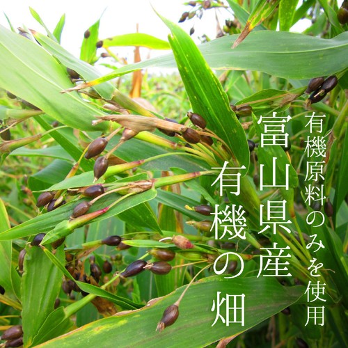 山城物産 有機はと麦茶ティーバッグ 3gX20袋