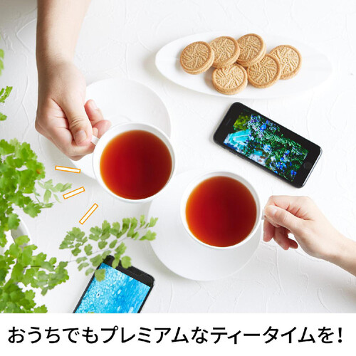 片岡物産 トワイニング リーフパック レディグレイ 60g Green