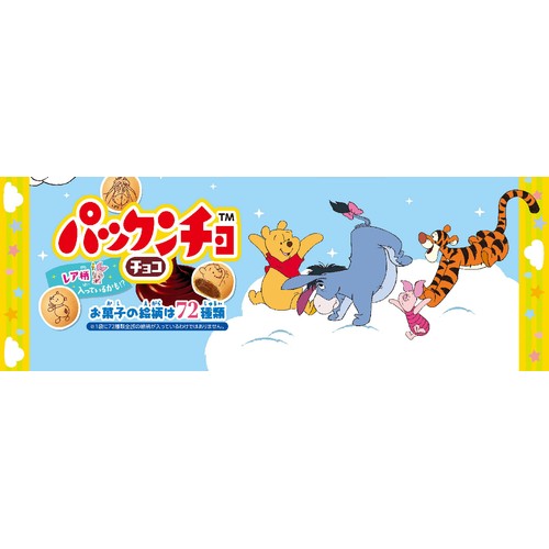 森永製菓 パックンチョ チョコ 大袋 101g
