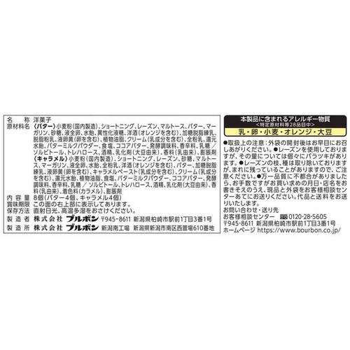 ブルボン ガトーレーズンファミリーサイズ 8個入