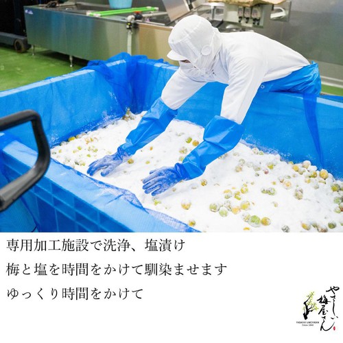 深見梅店 やさしい梅屋さん 有機梅干し しそ漬け梅 100g
