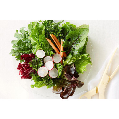 メイソンズ『ペインズレイ』グリーン サラダプレート 4枚セット メイソンズ『ペインズレイ』グリーン サラダプレート 4枚セット