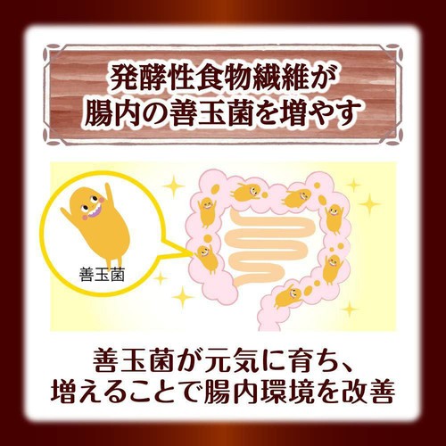 日本ケロッグ オールブランブランリッチショコラ 220g