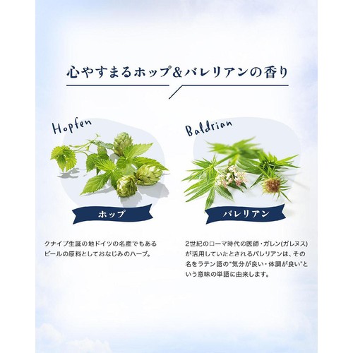 クナイプ 泡ボディウォッシュ グーテナハト ホップ&バレリアンの香り 450g