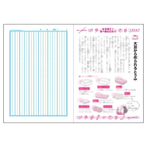 ショウワノート ジャポニカ学習帳 国語12行縦リーダー入り B5判 30枚