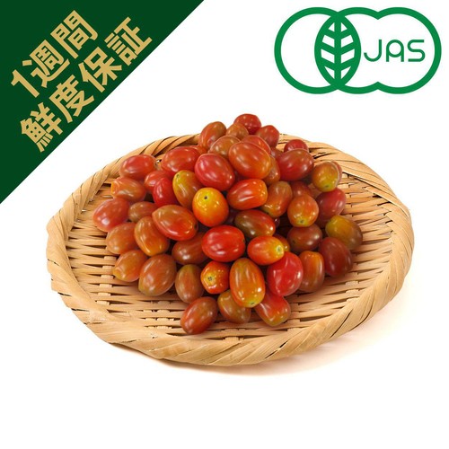 [鮮度+]【有機】千葉県産 へたなしミニトマト 250g