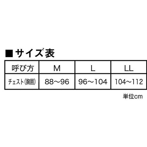 グンゼ G.T.HAWKINS 紳士 3枚組ベーシックTシャツ L アソート