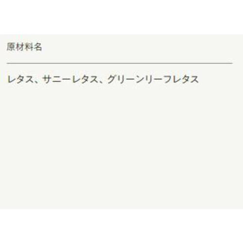 サラダクラブ リーフミックスビッグパック 170g