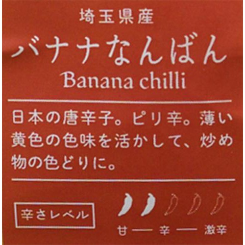 埼玉県産 十色 とうがらし(バナナなんばん) 100g 1袋